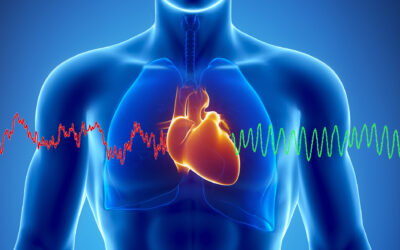The Benefits of Heart Rate Variability (HRV) Training