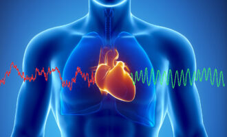 Heart in a body with HRV waves Heart in a body with HRV waves