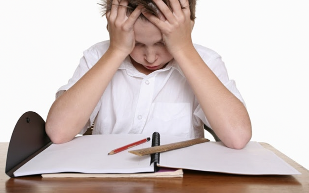 Executive Functioning Webinar with Smart Kids